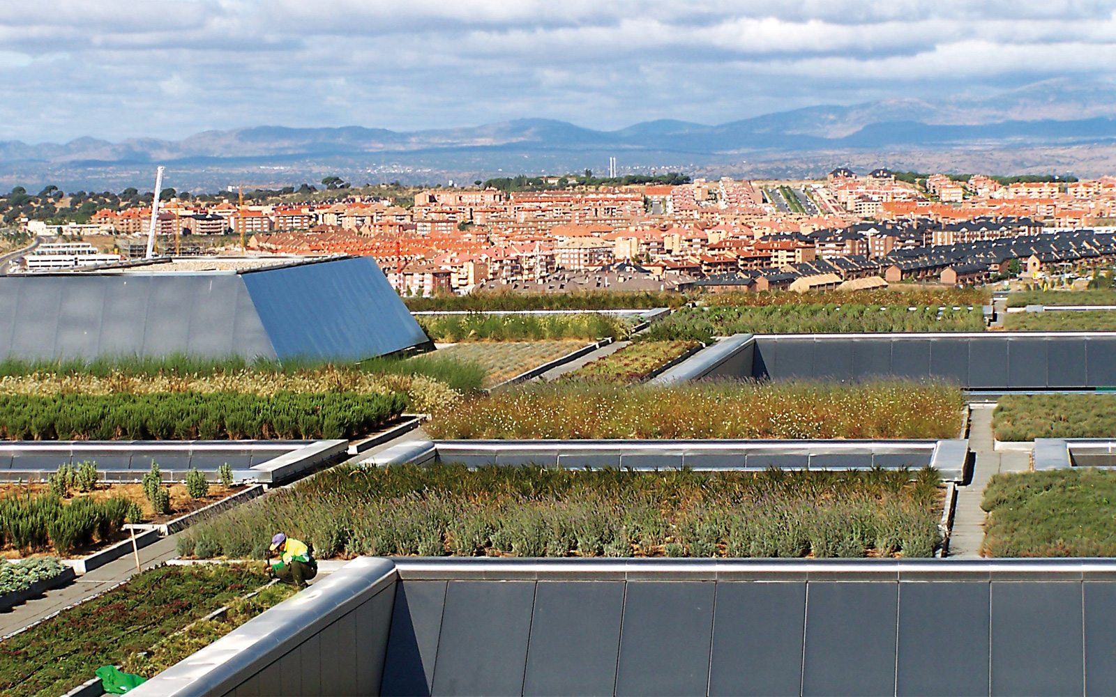 The roof was divided into various segments, each with it's own character. Large vegetated green roof